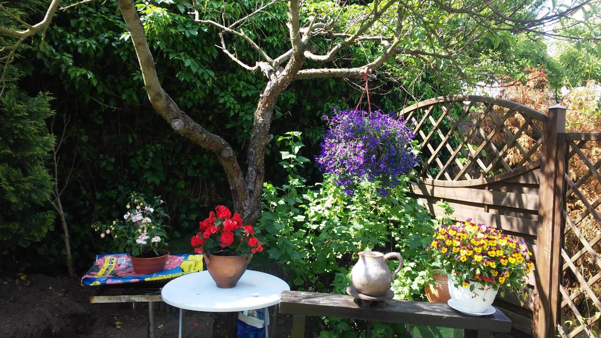Homestay Romeo I Julia Lagow (Swiebodzin)